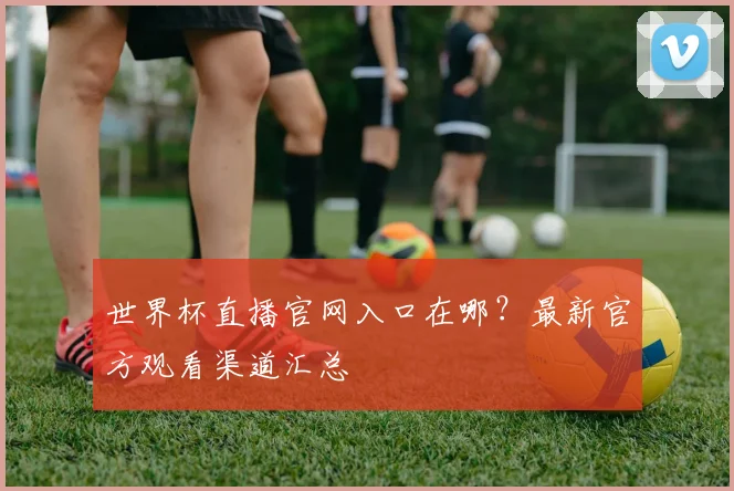 世界杯直播官网入口在哪？最新官方观看渠道汇总
