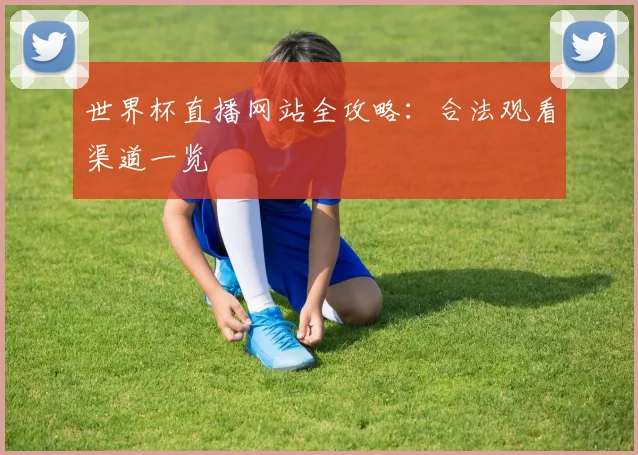 世界杯直播网站全攻略:合法观看渠道一览