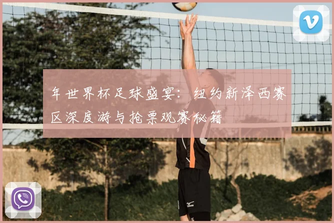 年世界杯足球盛宴:纽约新泽西赛区深度游与抢票观赛秘籍