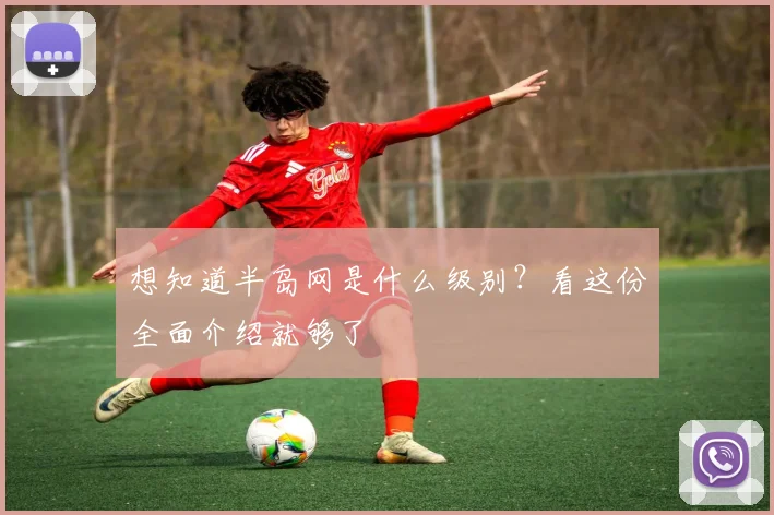 想知道半岛网是什么级别?看这份全面介绍就够了