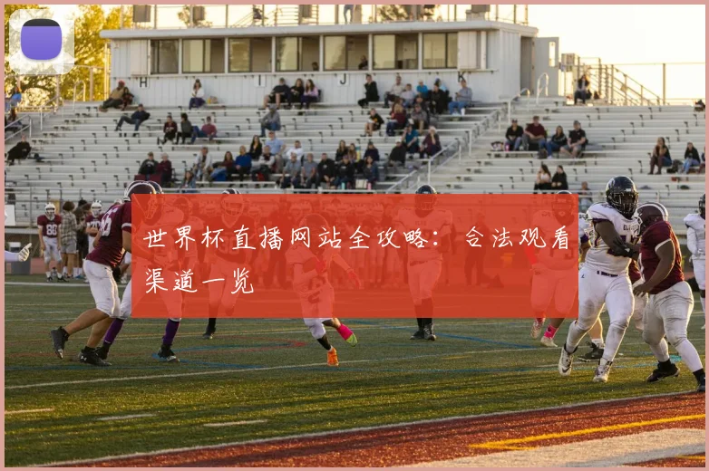 世界杯直播网站全攻略：合法观看渠道一览